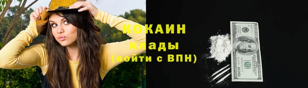 твердый Верхний Тагил