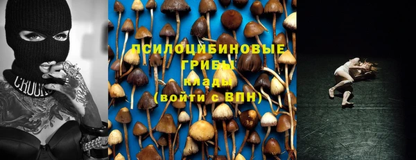 твердый Верхний Тагил