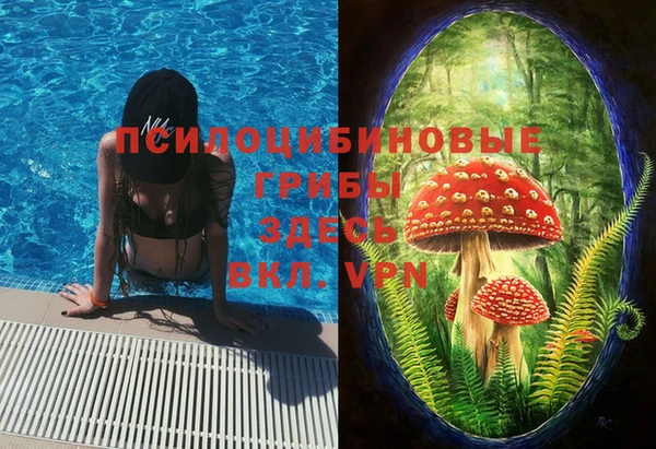 кокс Верея