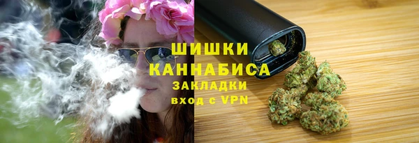 твердый Верхний Тагил