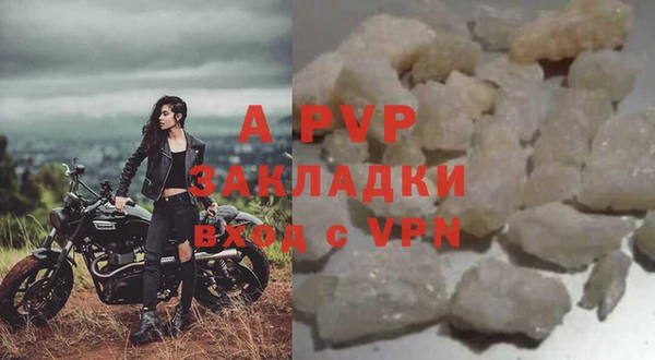 дурь Бородино