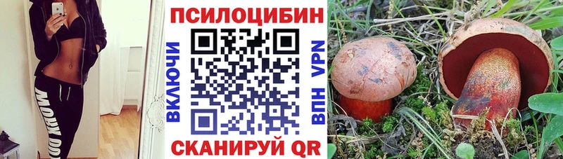 что такое   Кострома  Псилоцибиновые грибы мицелий 